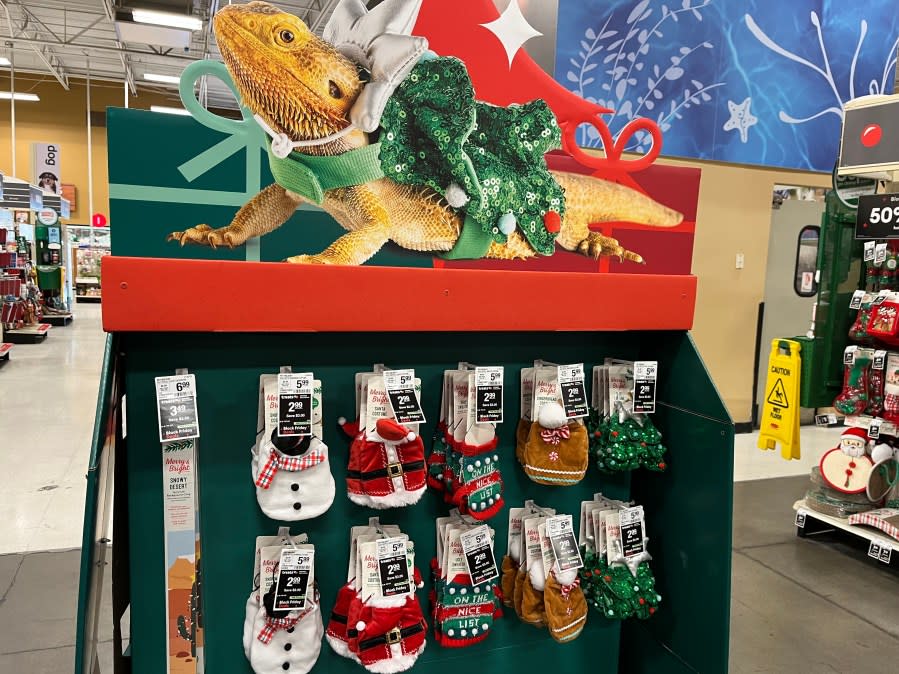 A display of holiday outfits for bearded dragons at PetSmart in North Las Vegas.