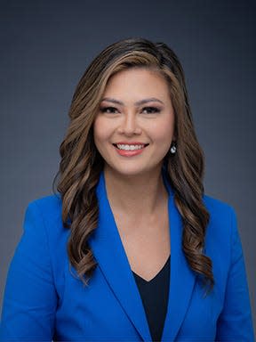 Hawaii State Rep. Trish La Chica has introduced a bill that would demand public disclosure and outright bans on high-tech political ads.