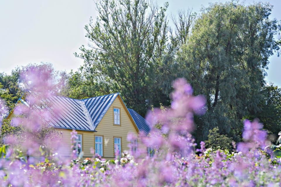 house-with-tan-siding-and-backed-by-trees-is-surrounded-by-purple-wildflowers