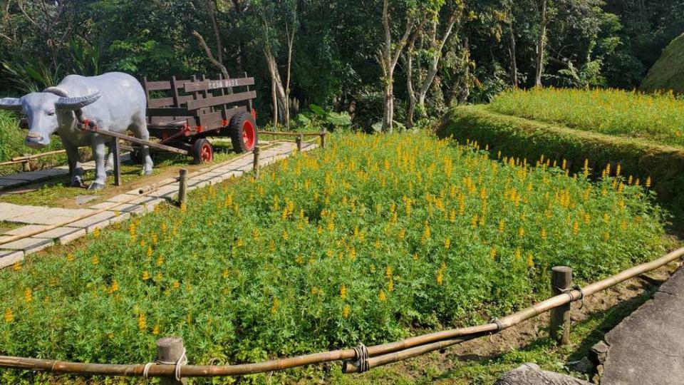 （圖片來源：台北市政府工務局公園路燈工程管理處）