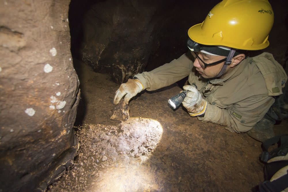 Mammalian fossils have been found scattered in an unnamed cave at Simpang Pulai. — Pix courtesy of Leong Yie Meng