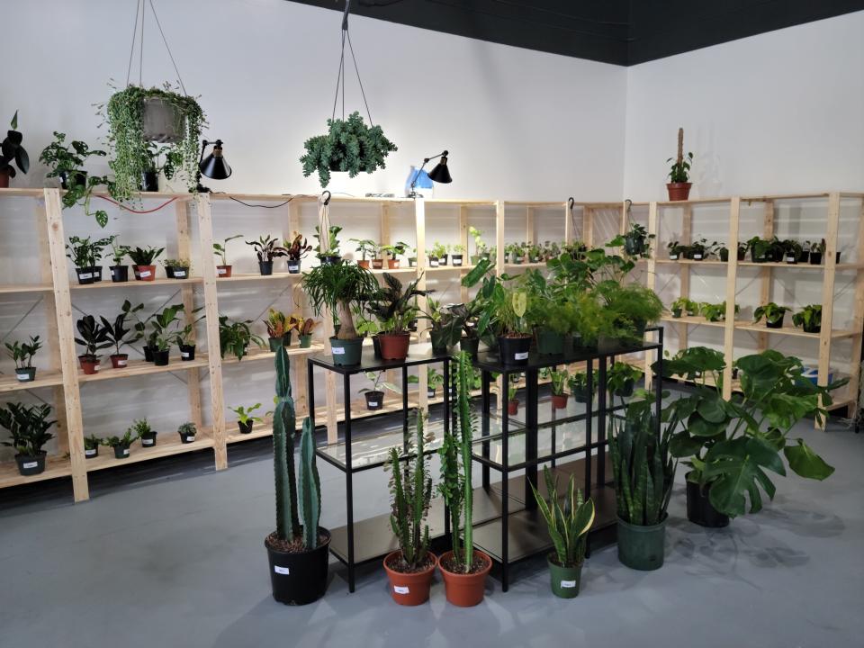 Less than seven months after opening its doors, Plant Lady Plant Shop will close permanently in Holland Township.