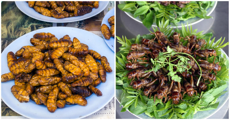 Insects like silkworm pupae (left) and crickets are traditional food in parts of Asia. (PHOTOS: Getty Images/Reuters)