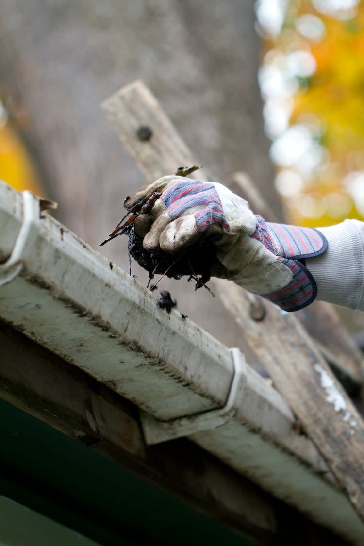 Cleaning gutters to get rid of crickets