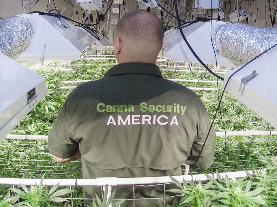 canna security america marijuana