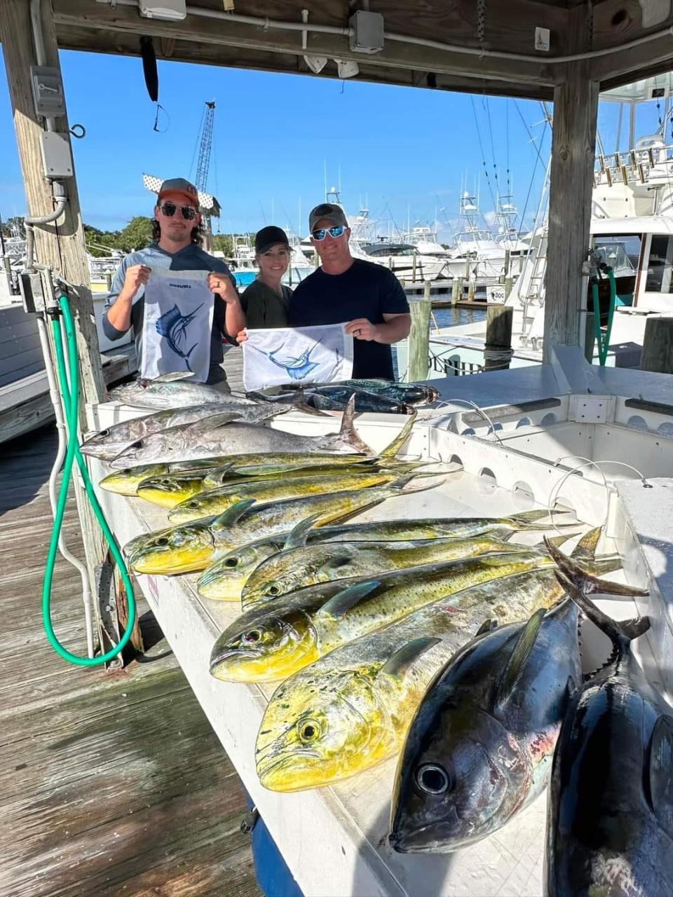 Dolphin, blackfin tuna and catch and release sailfish have been in the mix for early November customers of Off the Chain charters in Stuart.