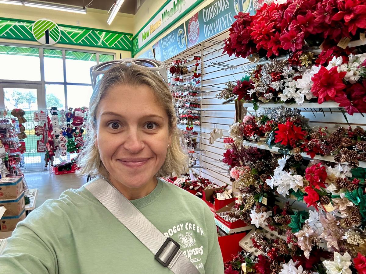 Holiday Decor Shopping: Dollar Tree Vs Party City, Which Is Better