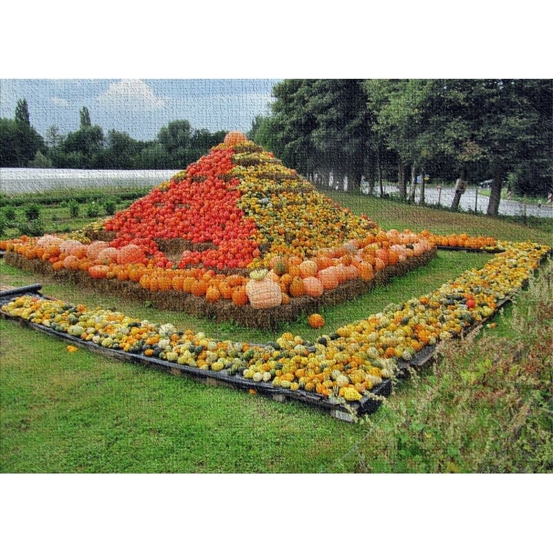 Last but certainly not least, we'll leave you with this pyramid of pumpkins. What a world we live in that this can be a rug.