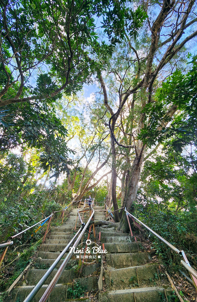 台中大坑｜南觀音山步道