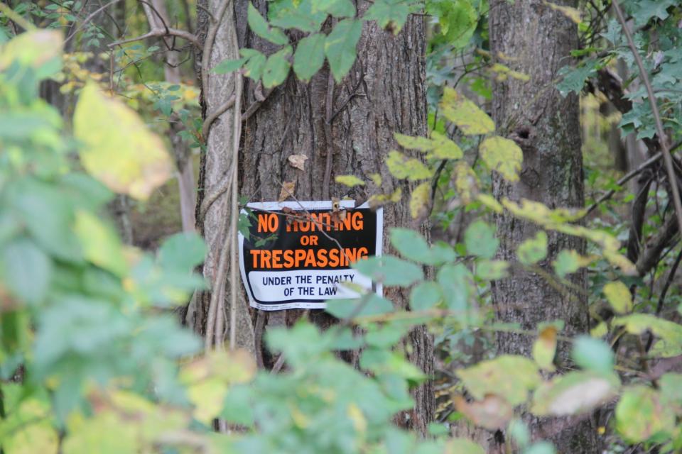 A no trespassing sign on a tree.