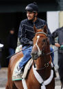 Triple Crown hopeful I'll Have Another, with exercise rider Jonny Garcia aboard, walks to the track for a morning workout at Belmont Park in Elmont, New York, June 4, 2012. I'll Have Another will attempt to become the first horse since Affirmed in 1978 to win racing's coveted Triple Crown when he runs in the 2012 Belmont Stakes on June 9 at Belmont Park. REUTERS/Mike Segar