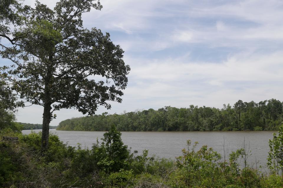 The Apalachicola River is seen from the Fort Gadsden site at Prospect Bluff in the Apalachicola National Forest on Wednesday, April 17, 2019.