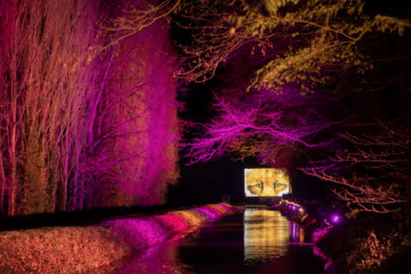 The Winter Lights trail at Anglesey Abbey has come to an end after 12 years