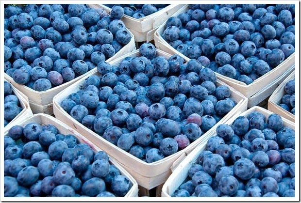 Fresh-picked blueberries will be available this weekend at the Whitesbog Village Blueberry Festival.