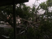 The aftermath of cyclone Gita is seen in Nuku'alofa, Tonga, February 13, 2018 in this picture obtained from social media. Twitter Virginie Dourlet/via REUTERS THIS IMAGE HAS BEEN SUPPLIED BY A THIRD PARTY. MANDATORY CREDIT. NO RESALES. NO ARCHIVES