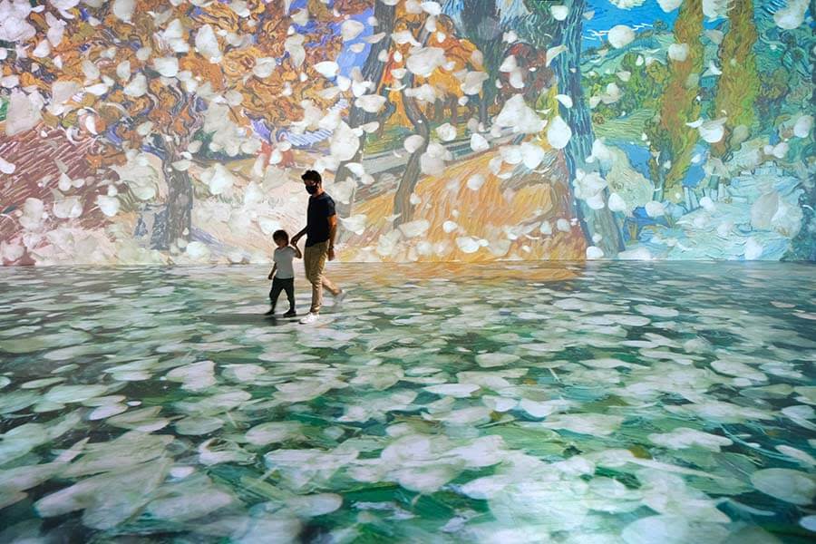 Beyond Van Gogh: The Immersive Experience is now playing the Halifax Exhibition Centre.