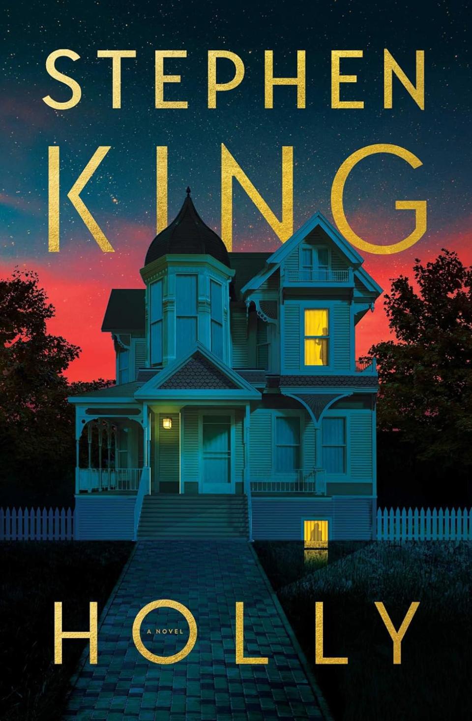 Holly by Stephen King (father's day books) 