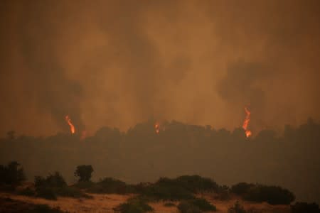 Flames rise as a wildfire burns near the village of Psachna, on the island of Evia