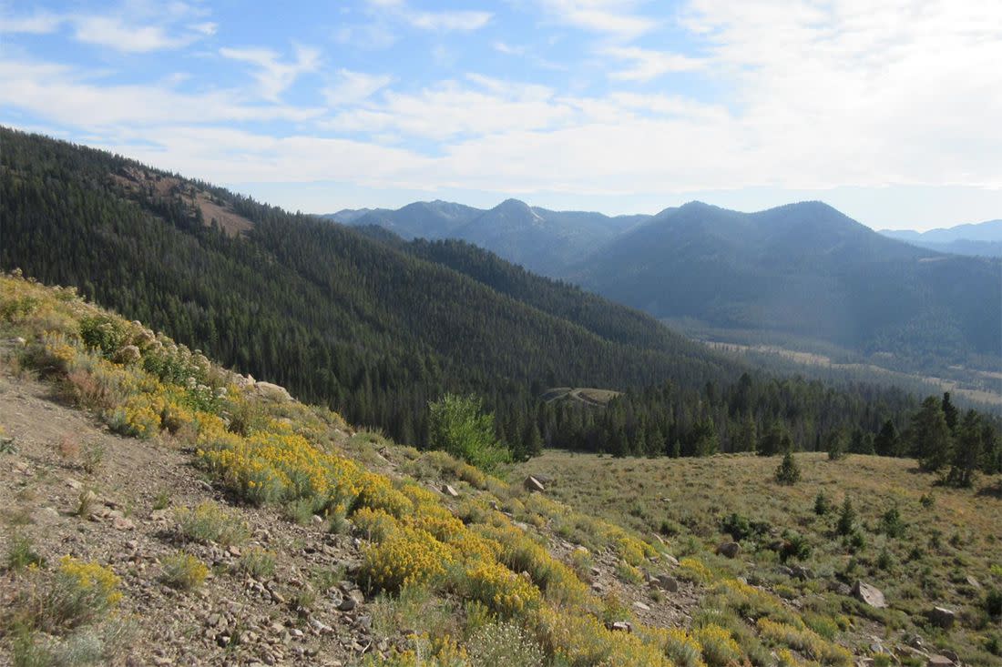 Sawtooth National Forest, Idaho