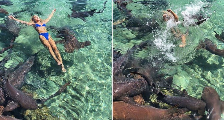 Instagram star Katarina Elle Zarutskie got bitten by a shark when in the Bahamas. [Photo: Instagram]