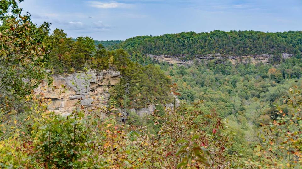 red river gorge geological area