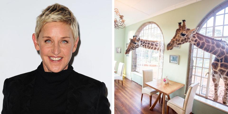 Ellen DeGeneres - Kenya