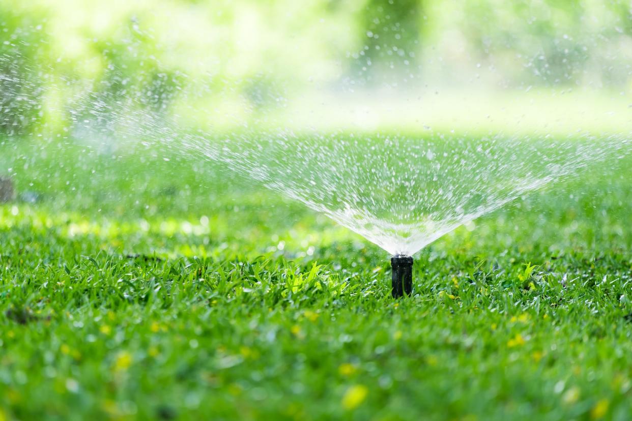 automatic lawn sprinkler in action watering grass