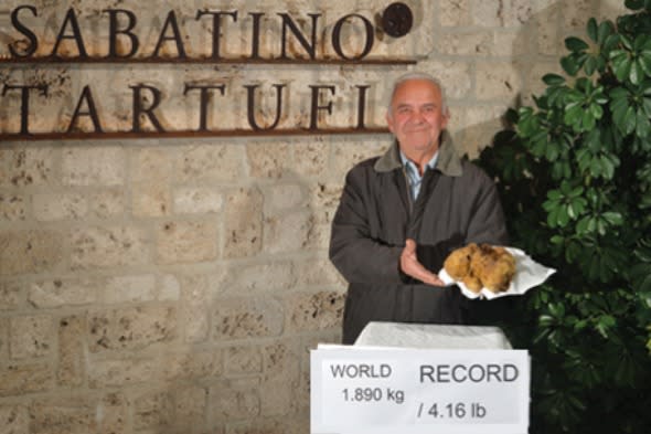 world's largest truffle