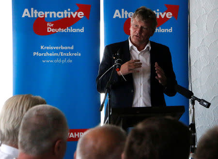 Joerg Meuthen of the anti-immigration party Alternative for Germany (AFD) speaks in Pforzheim, Germany, 30 July 2017. REUTERS/Andrea Shalal