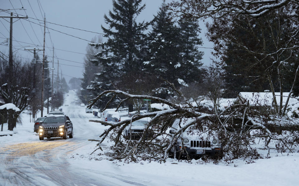 A tree rests on a vehicle, Sunday, Feb. 10, 2019, on a residential street in Tacoma, Wash. Pacific Northwest residents who are more accustomed to rain than snow were digging out from a big winter storm over the weekend and bracing for more snow forecast for Sunday. (AP Photo/Ted S. Warren)