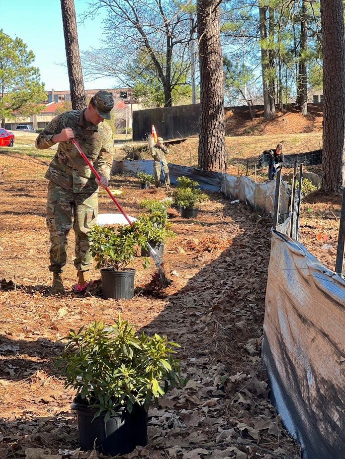 Volunteers help plant 200 azalea bushes Jan. 19, 2022, for Fort Bragg’s newest park, Liberty Park.