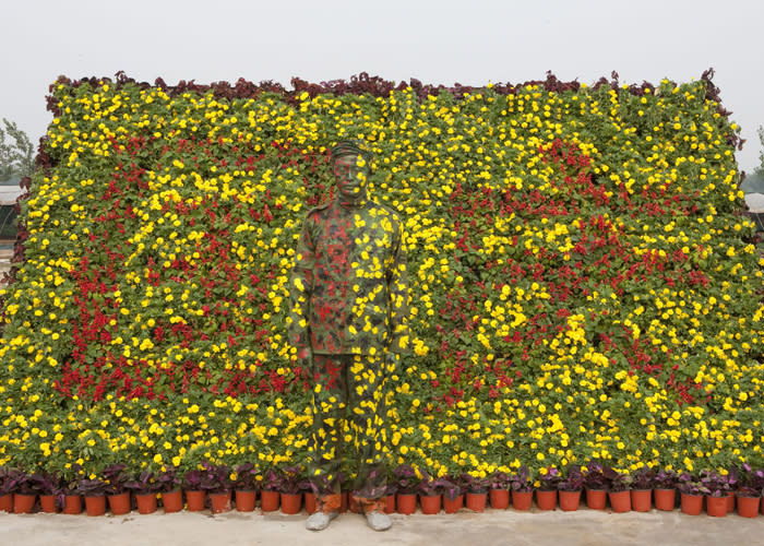 Bolin is painted red, yellow and green to blend into the Chinese flower bed.