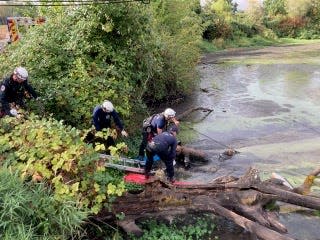 Christopher Pray is pulled from the mud in a Portland pond Friday morning. The Portland Fire & Rescue team said the rescue took about an hour.