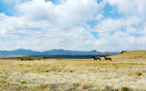 <p>Led by photographer and educator Jerry Courvoisier, the four-day <a rel="nofollow noopener" href="http://tedturnerexpeditions.com/" target="_blank" data-ylk="slk:Turner Ranch Photography Workshop;elm:context_link;itc:0;sec:content-canvas" class="link ">Turner Ranch Photography Workshop</a> allows participants to roam Ted Turner’s Ladder and Armendaris properties, capturing the desert landscape and abundant wildlife, which includes bison, bighorn sheep, and elk.<em> Nov., from 2,125.</em></p>