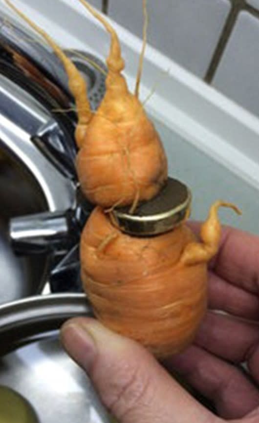 carrott2