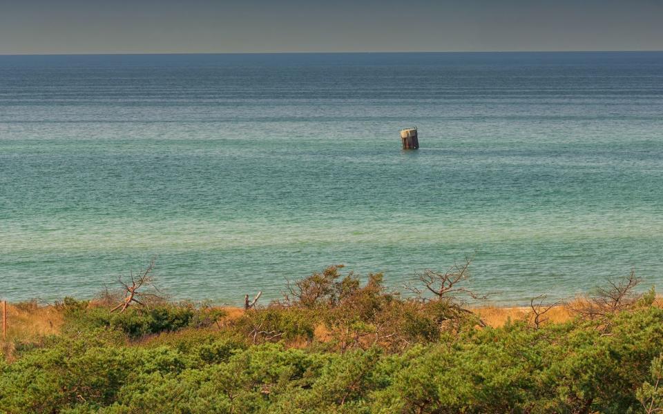 Der dritte Nationalpark in Mecklenburg-Vorpommern ist die Boddenlandschaft, welche vor allem durch Dünen, Windwatten, Salzwiesen und Wälder beeindruckt. Tierbeobachter kommen hier besonders auf ihre Kosten, wenn im Herbst das nordöstliche Gebiet zum Kranichrastplatz wird. Und auch Wildscheine, Kegelrobben und Mufflons sind hier beheimatet. (Bild: iStock / JFsPic)