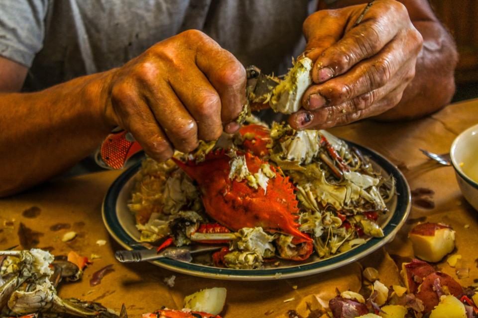 Picking and eating blue crabs