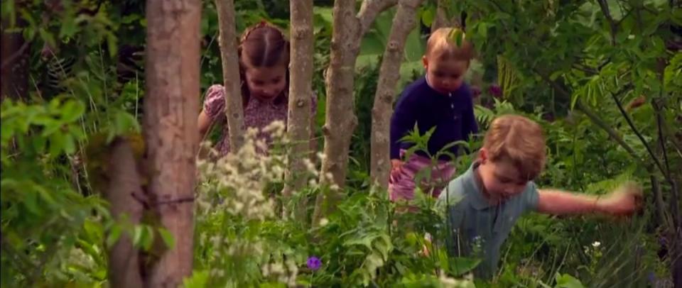 Photo credit: Prince William: A Planet For Us All (ITV) - ITV