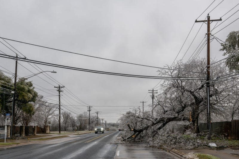 A tree is seen toppled over power lines on February 01, 2023 in Austin, Texas. A winter storm is sweeping across portions of Texas, causing massive power outages and disruptions of highways and roads. 