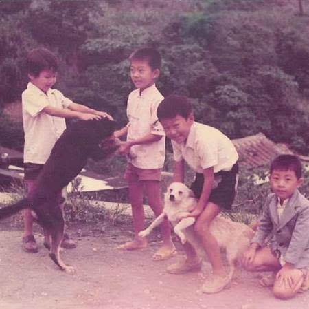 羅智強分享兒時有小黑、小黃陪伴的童年回憶。（圖／摘自羅智強臉書）