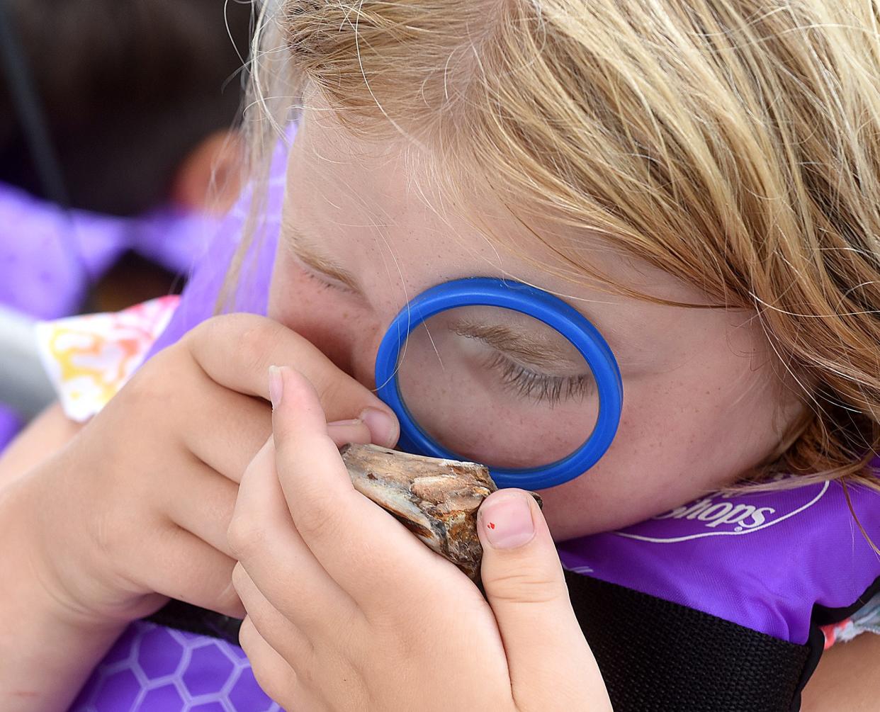 Abigale Cannon of Jefferson City uses a magnifying glass to examine a petrified tooth last summer during the Missouri River Adventure Camp at Cooper's Landing Campgrounds & Marina.