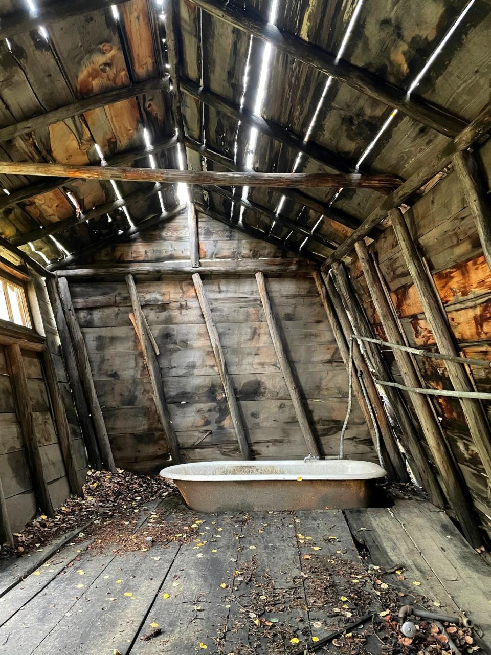 One crumbling building only had a bathtub covered in mold inside.