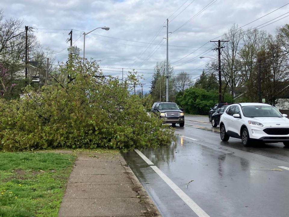 A strong thunderstorm hit Central Kentucky on Tuesday, April 2, leaving damage across Lexington and thousands without power. Several trees were down on Versailles Road, but the roadway remained open. Beth Musgrave/bmusgrave@herald-leader.com