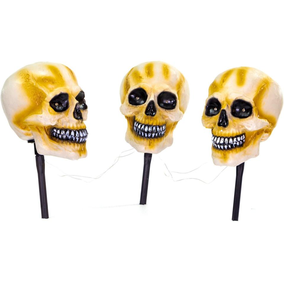 8) 16-Inch Lighted Animatronic Skulls