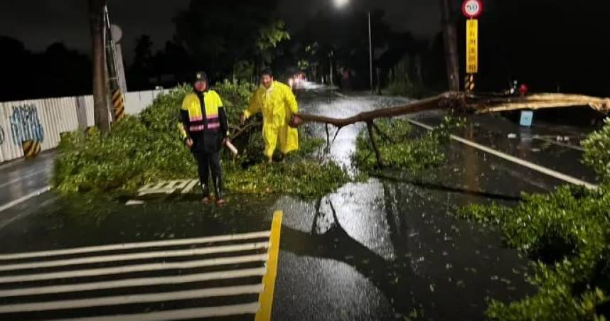 台南市仁德區文華路旁的2株行道樹不敵強風被吹倒。（圖／翻攝自記者爆料網）