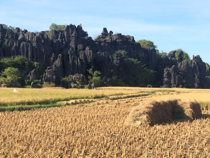 The entrance: On the other side of the stone park sits a particularly large karst. That is where you will find the entrance to Rammang Rammang.