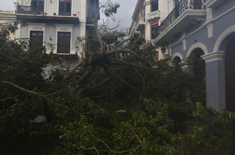 MIA67 – SAN JUAN (PUERTO RICO), 20/09/2017.- Vista de un árbol caído en el centro de una calle por el paso del huracán María hoy, miércoles 20 de septiembre 2017, en San Juan, Puerto Rico. El huracán María, debilitado a categoría 2, avanza hacia la zona oriental de República Dominicana con vientos máximos de 110 millas por hora (175 km/h), tras haber causado devastación e inundaciones “catastróficas” en Puerto Rico. EFE/Thais Llorca