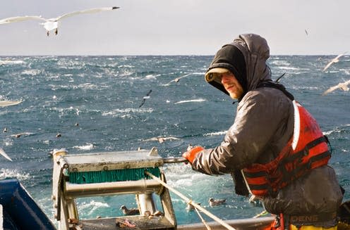 <span class="caption">All at sea.</span> <span class="attribution"><a class="link " href="https://www.shutterstock.com/image-photo/commercial-fishing-89814223" rel="nofollow noopener" target="_blank" data-ylk="slk:Photomatz/Shutterstock;elm:context_link;itc:0;sec:content-canvas">Photomatz/Shutterstock</a></span>