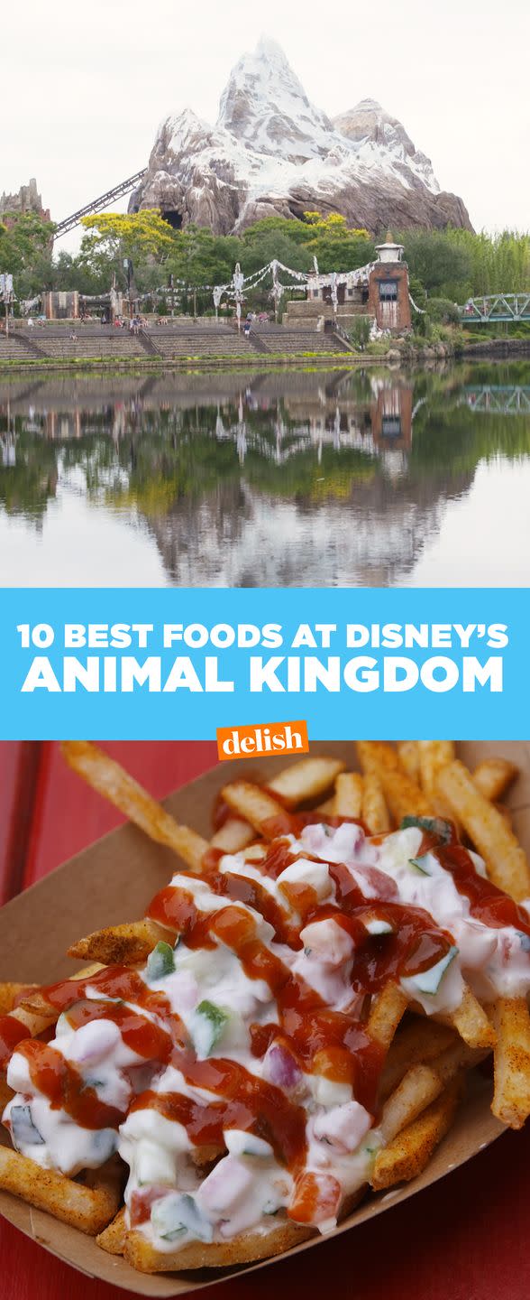 The 15 Most Delish Foods At Disney's Animal Kingdom