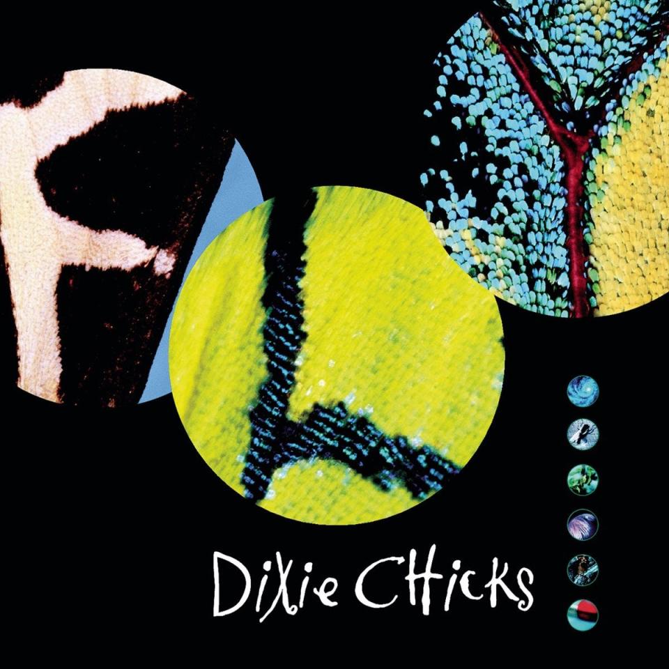 the chicks fly album cover